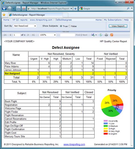 defect summary report template excel